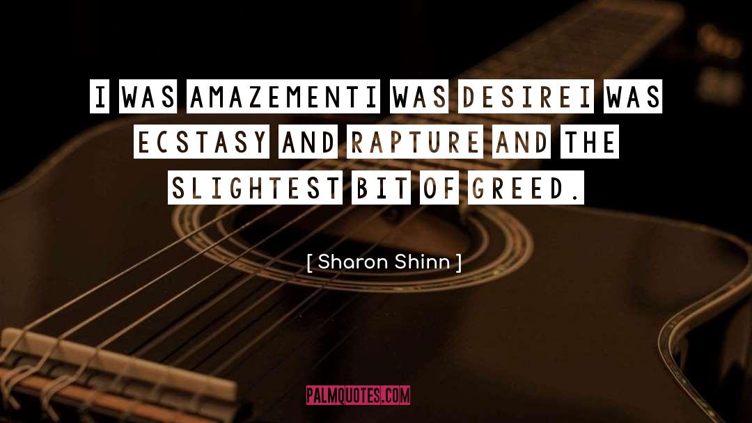 Amazement quotes by Sharon Shinn