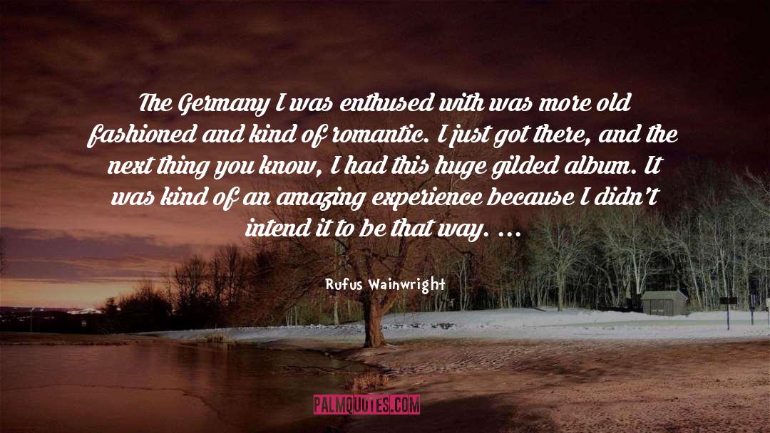 Amazing Experiences quotes by Rufus Wainwright