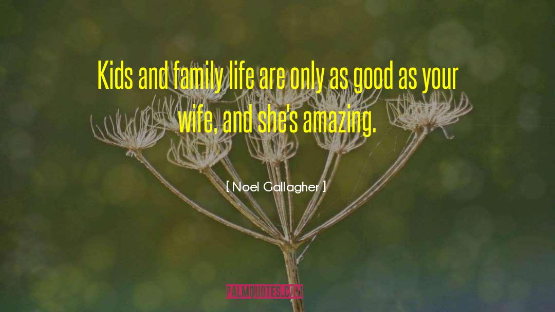 Amazing Life quotes by Noel Gallagher