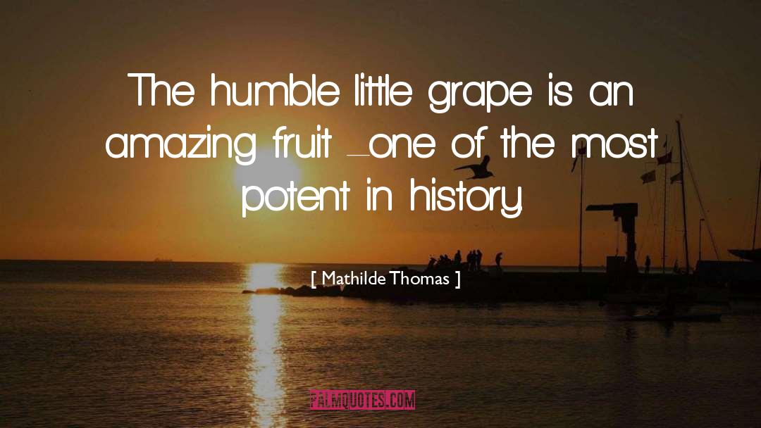 Amazing Metaphor quotes by Mathilde Thomas