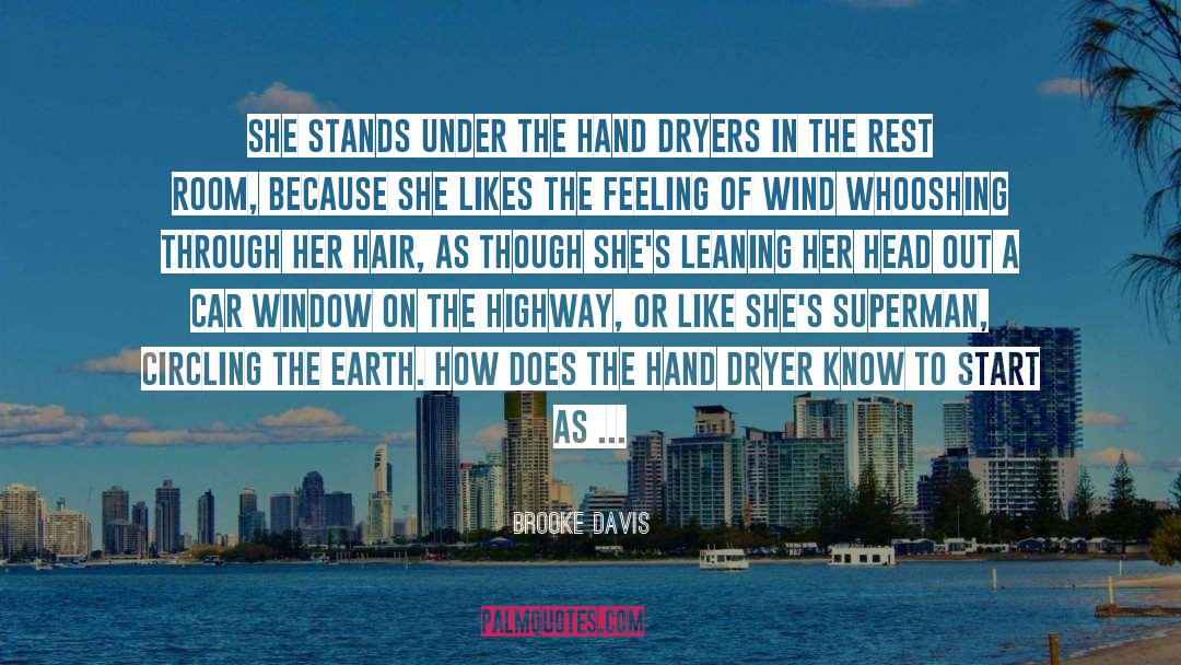 Amazing Metaphor quotes by Brooke Davis