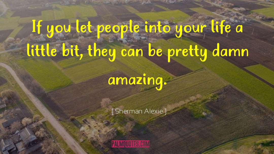 Amazing Metaphor quotes by Sherman Alexie