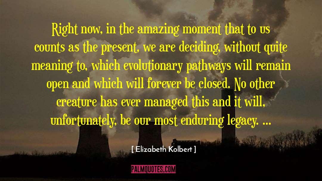 Amazing Moment quotes by Elizabeth Kolbert