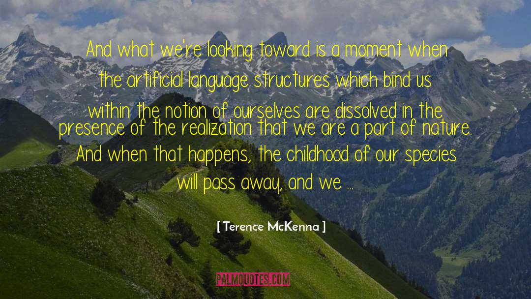 Amazing Moment quotes by Terence McKenna