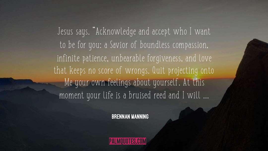 Amazing Moment quotes by Brennan Manning