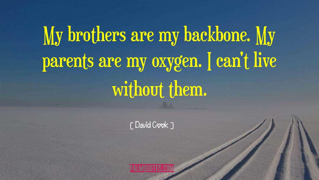 Amazing Parents quotes by David Cook