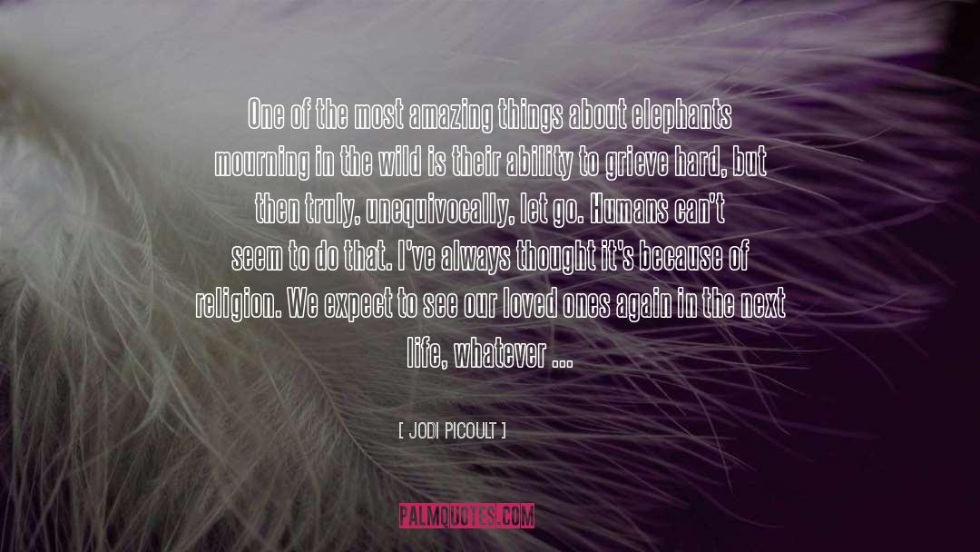 Amazing Things quotes by Jodi Picoult