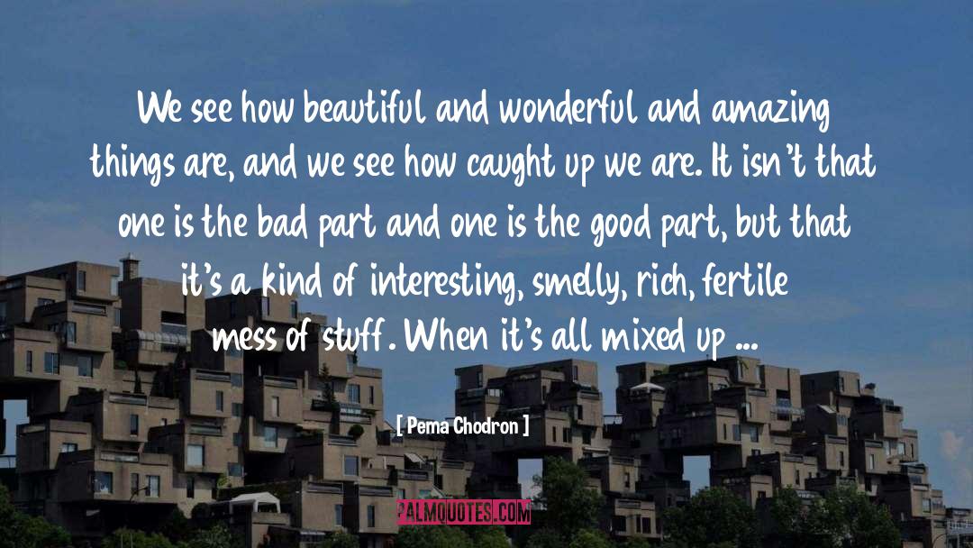 Amazing Things quotes by Pema Chodron