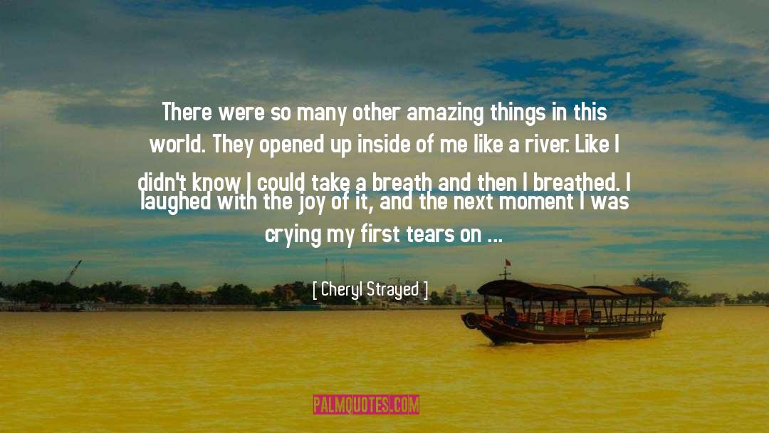 Amazing Things quotes by Cheryl Strayed