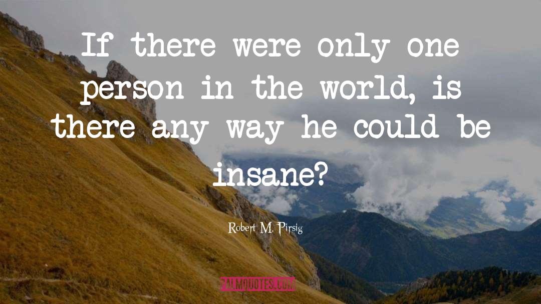 Amazing World quotes by Robert M. Pirsig