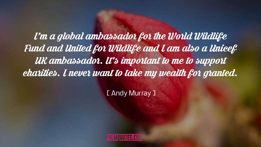 Ambassador quotes by Andy Murray