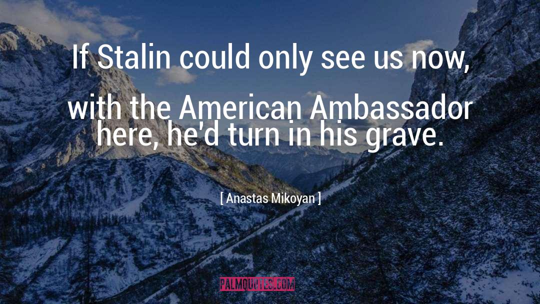 Ambassadors quotes by Anastas Mikoyan