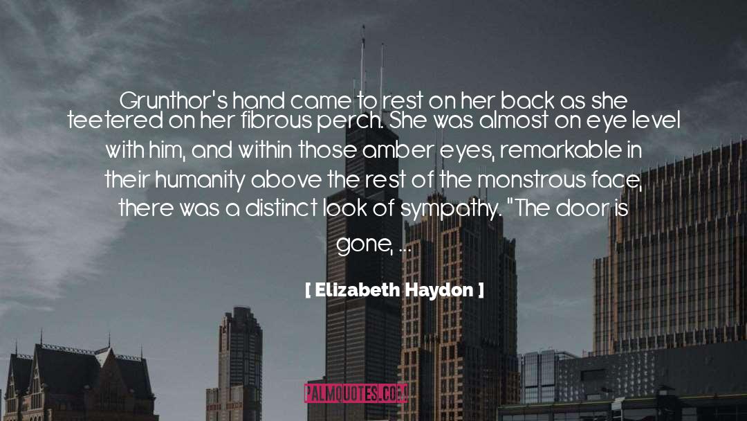 Amber Eyes quotes by Elizabeth Haydon