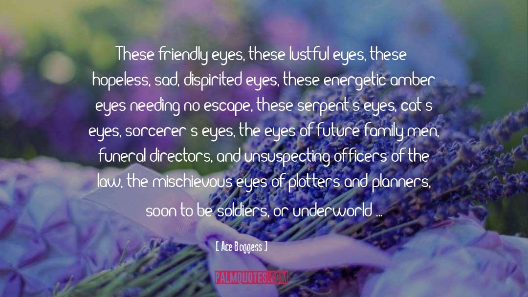 Amber Eyes quotes by Ace Boggess