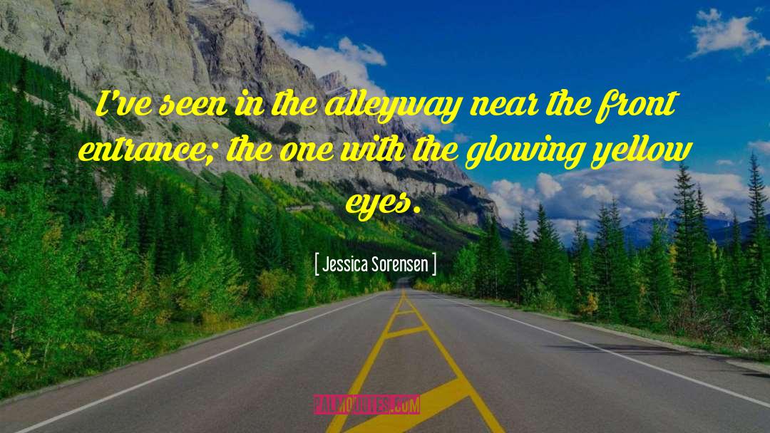 Amber Eyes quotes by Jessica Sorensen