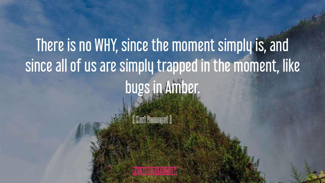 Amber Newberry quotes by Kurt Vonnegut