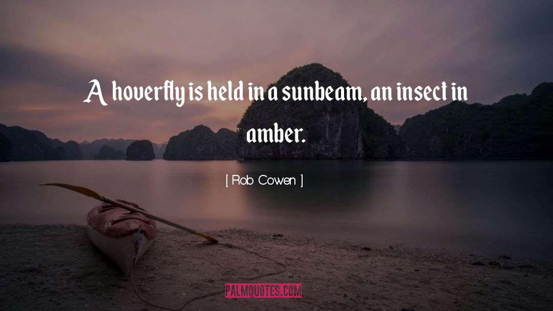 Amber quotes by Rob Cowen