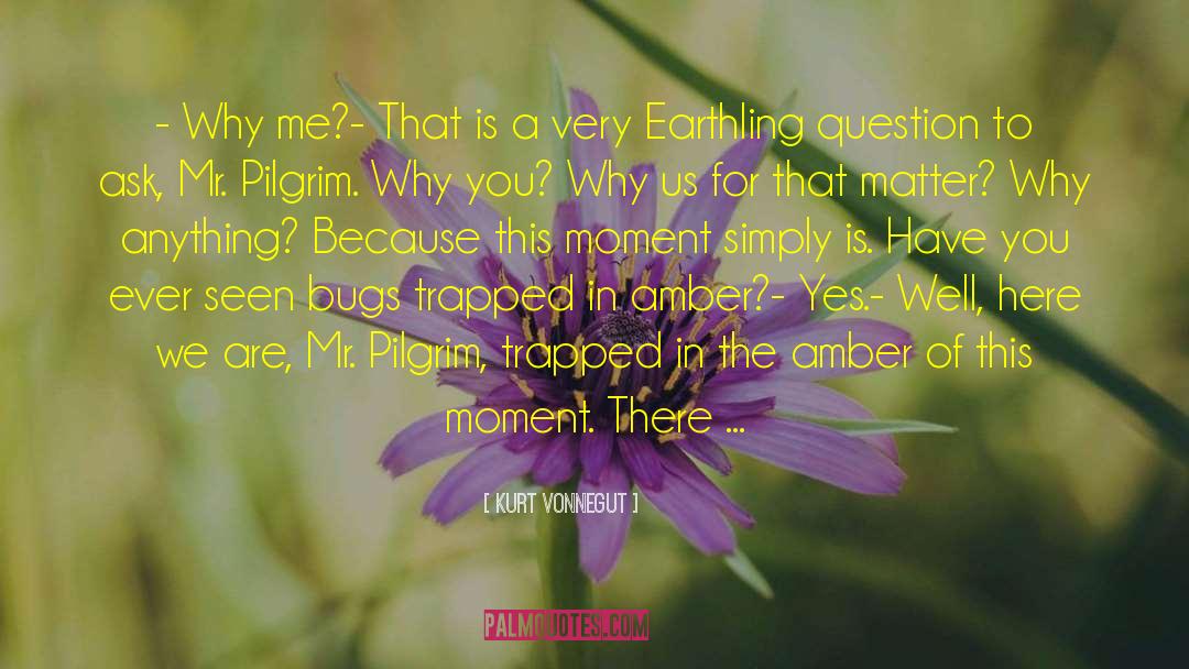 Amber Travie quotes by Kurt Vonnegut