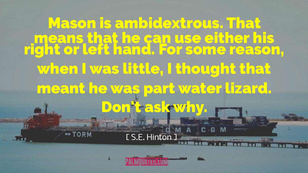 Ambidextextrous quotes by S.E. Hinton