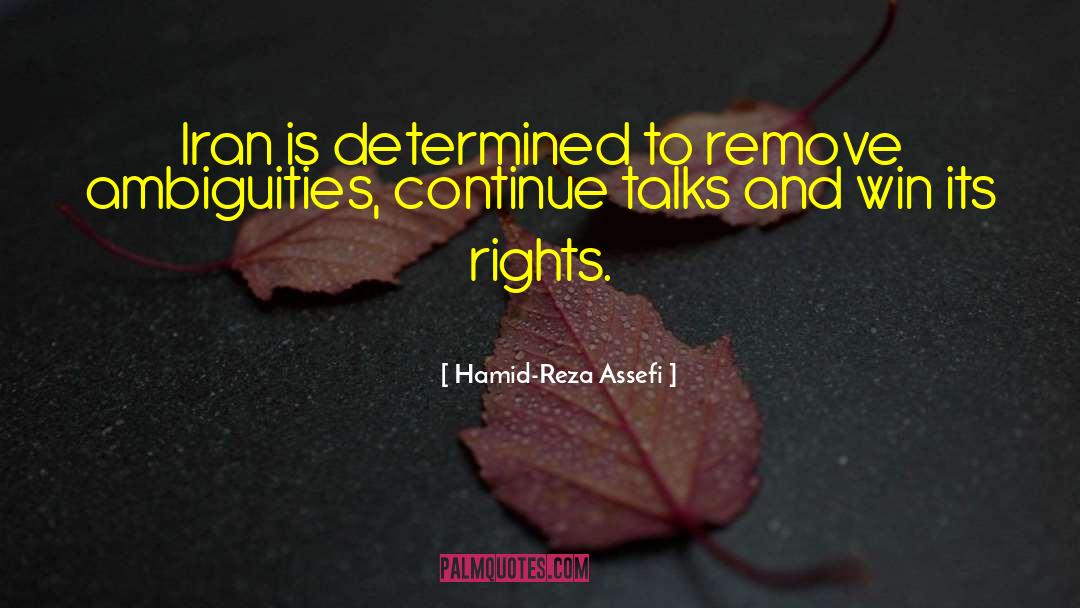 Ambiguities quotes by Hamid-Reza Assefi