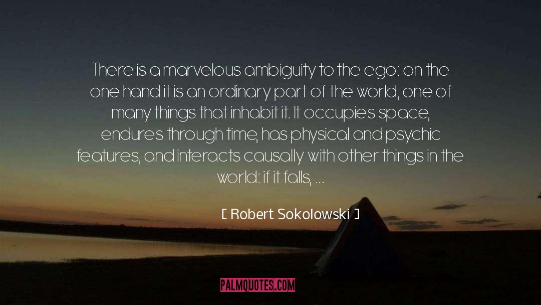 Ambiguity quotes by Robert Sokolowski