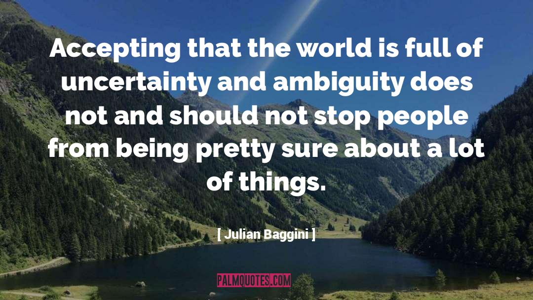 Ambiguity quotes by Julian Baggini