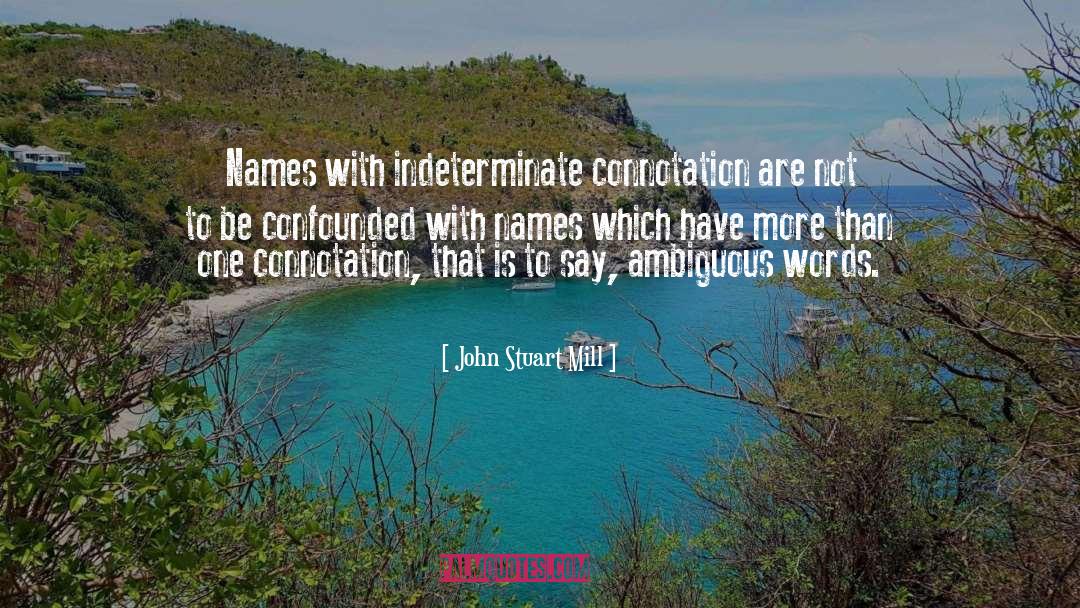 Ambiguous Words quotes by John Stuart Mill