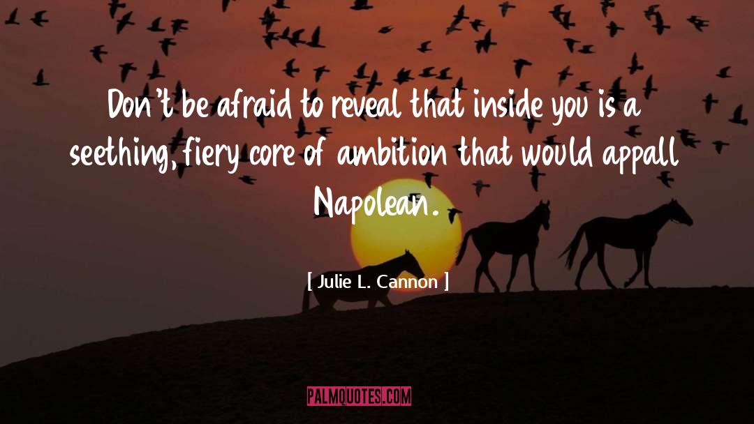 Ambition quotes by Julie L. Cannon