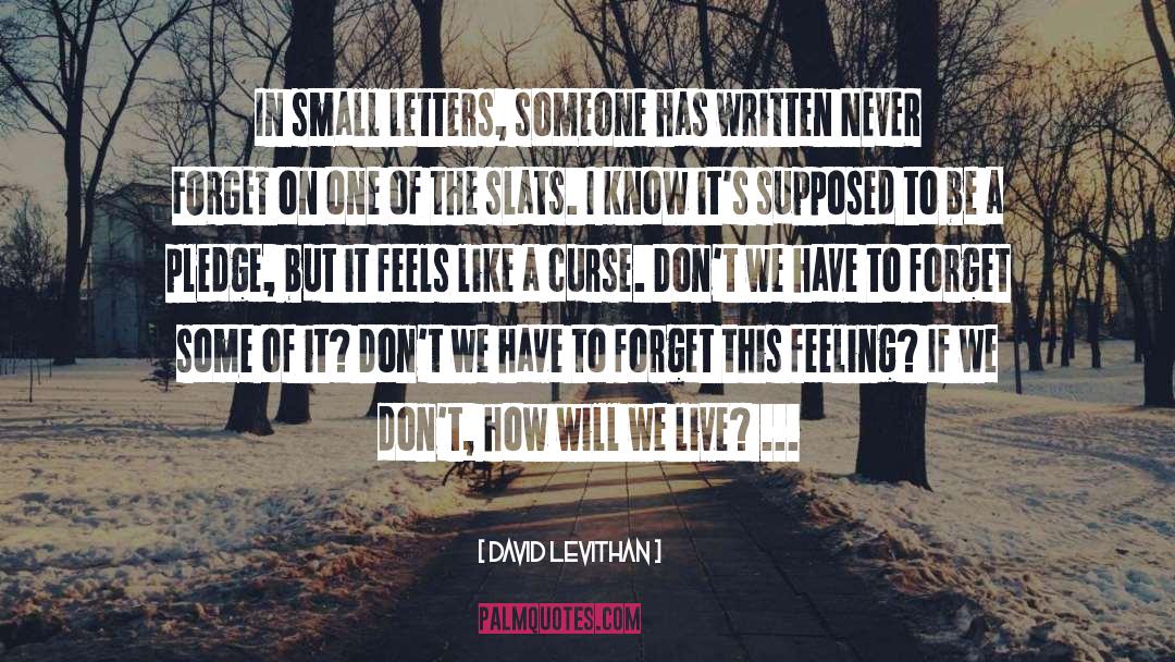 Ambivalent Feelings quotes by David Levithan