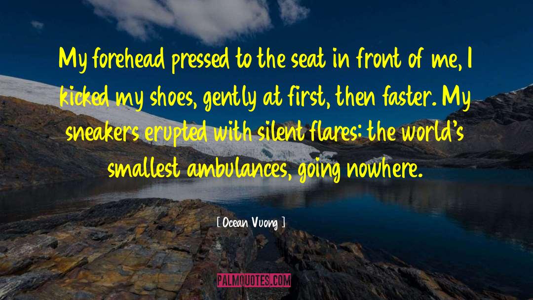 Ambulances quotes by Ocean Vuong