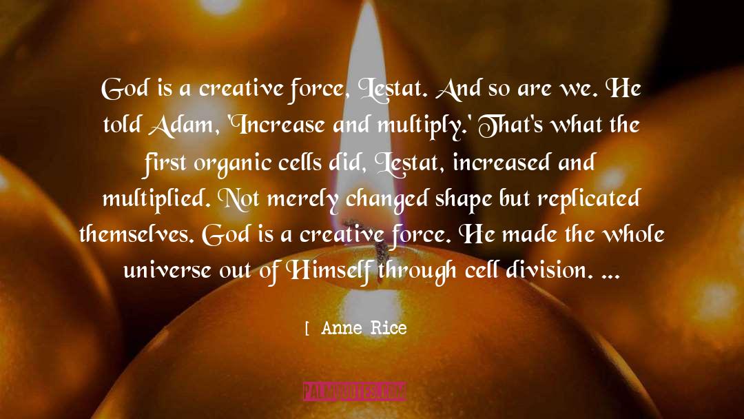 Amel quotes by Anne Rice