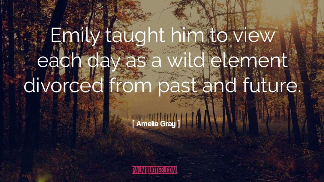 Amelia Gray quotes by Amelia Gray