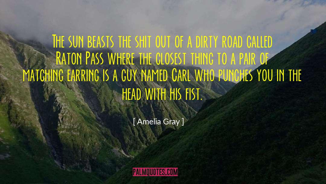 Amelia quotes by Amelia Gray