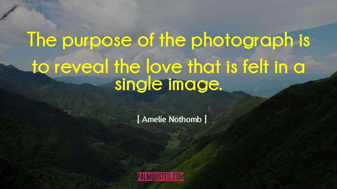 Amelie quotes by Amelie Nothomb