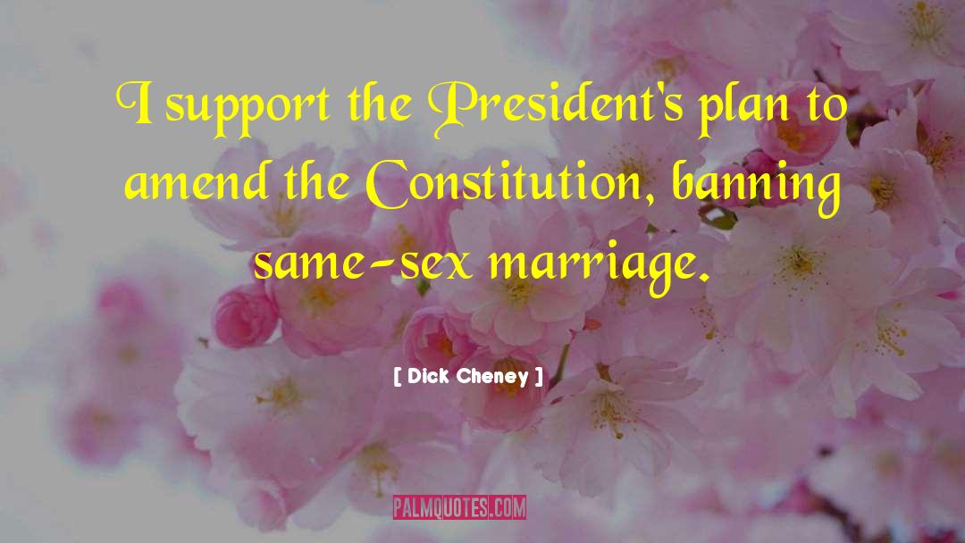 Amend quotes by Dick Cheney