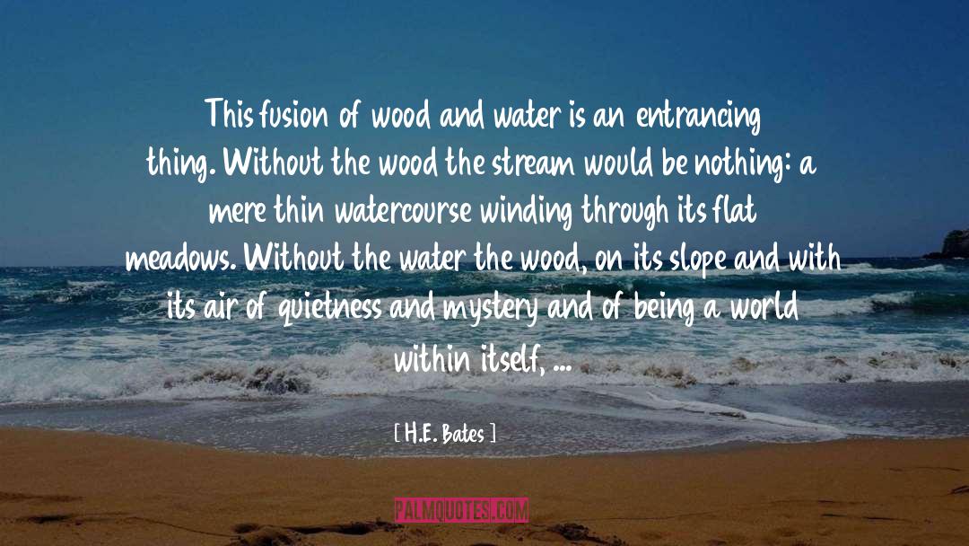 Amende The Stream Water quotes by H.E. Bates