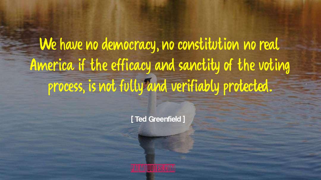 Amending The Constitution quotes by Ted Greenfield