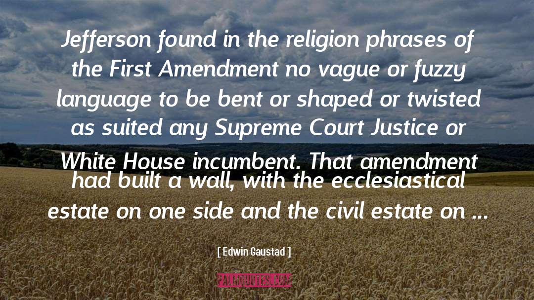 Amendment 19 quotes by Edwin Gaustad