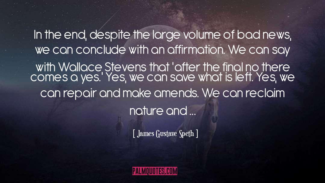 Amends quotes by James Gustave Speth