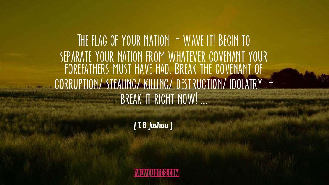 Amercan Flag quotes by T. B. Joshua