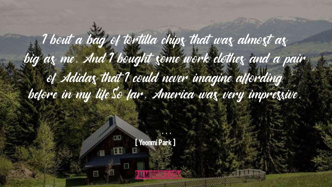 America In Kite Runner quotes by Yeonmi Park
