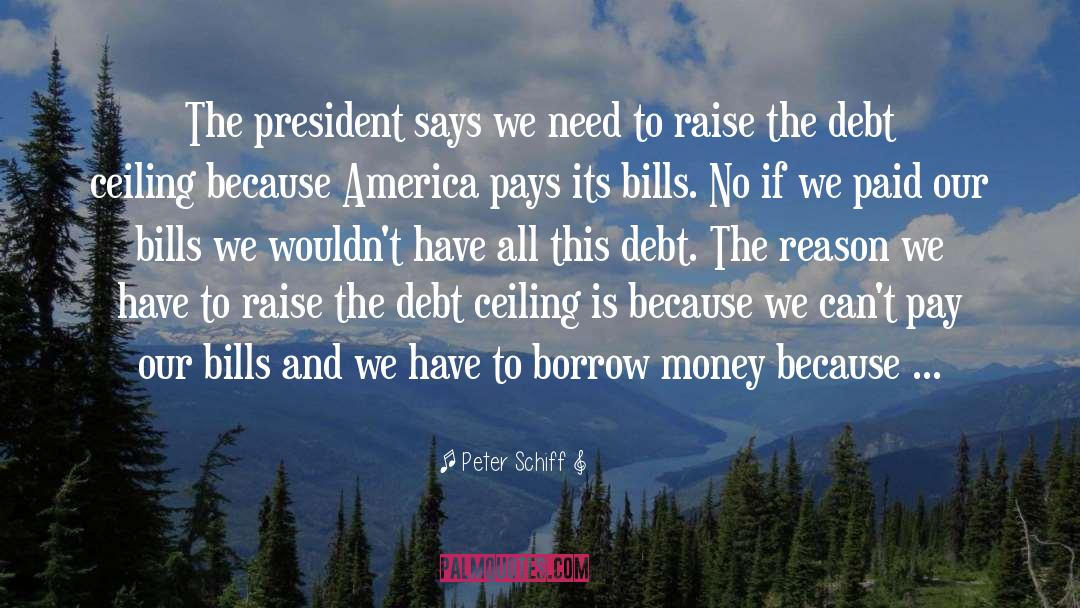 America President quotes by Peter Schiff