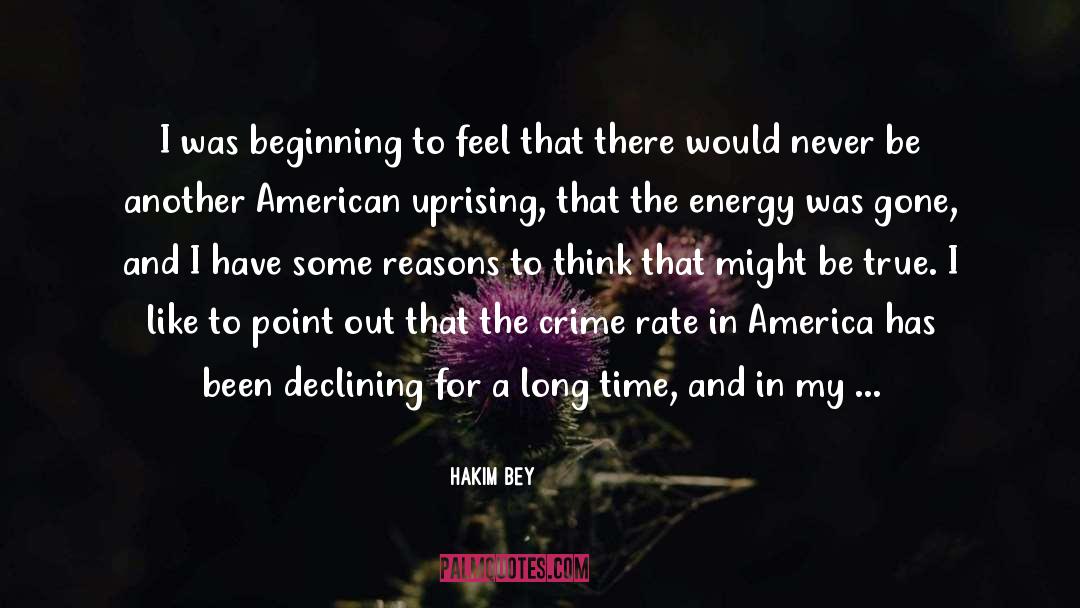 America quotes by Hakim Bey