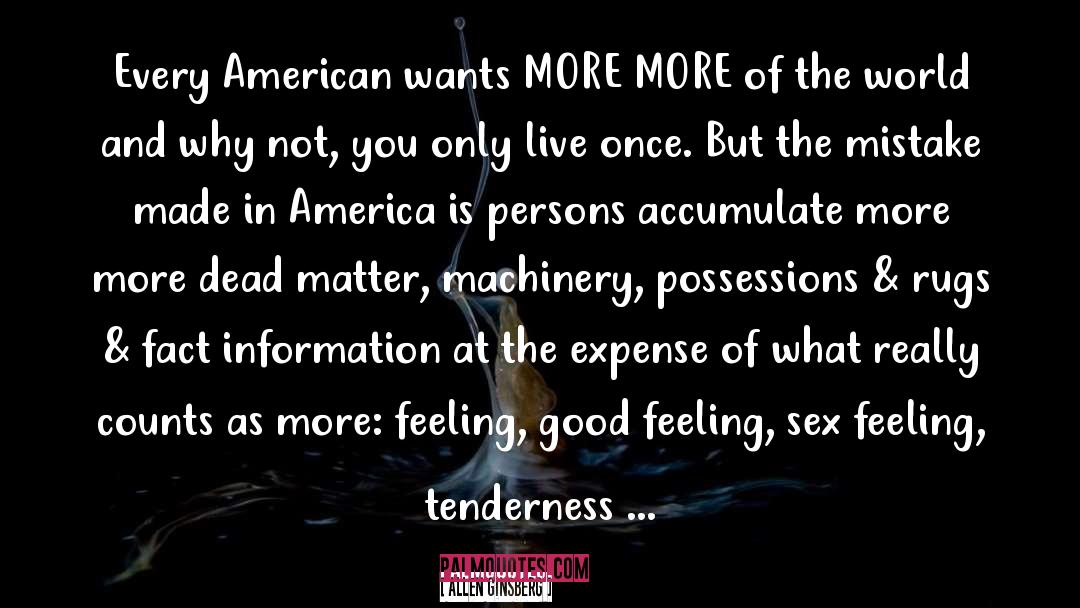 America Shreave quotes by Allen Ginsberg