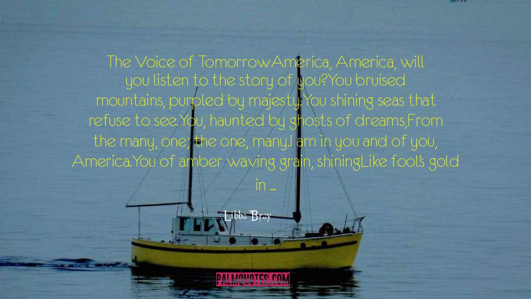 America The Beautiful quotes by Libba Bray