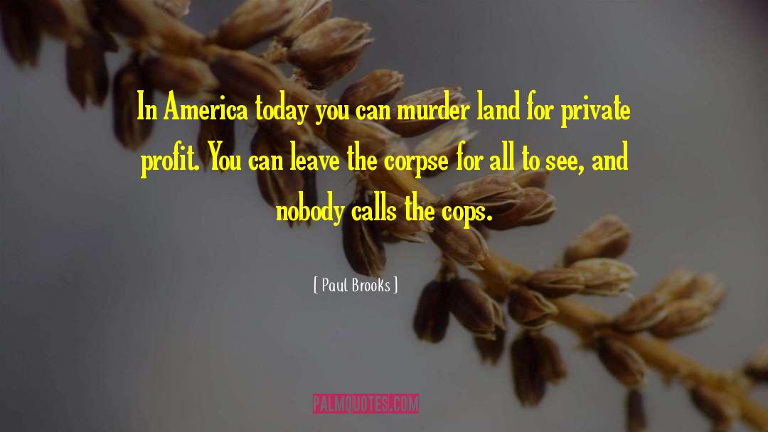 America Today quotes by Paul Brooks