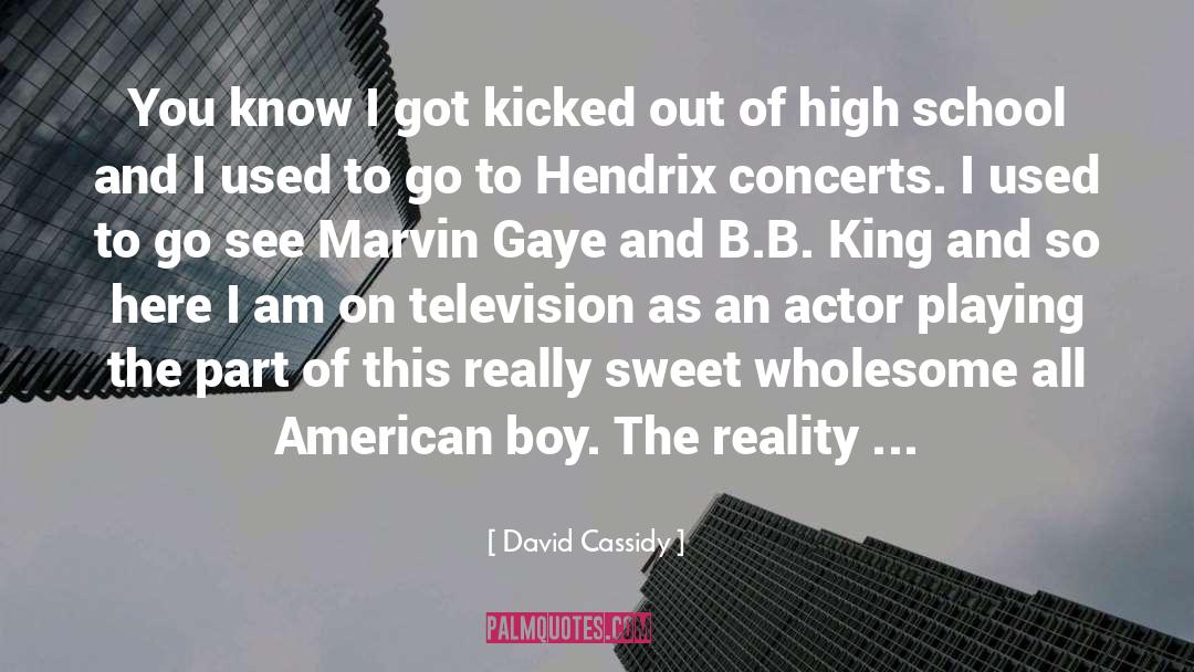 American Author quotes by David Cassidy