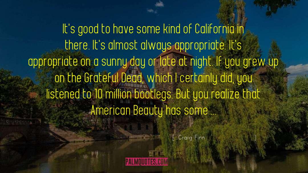 American Beauty quotes by Craig Finn