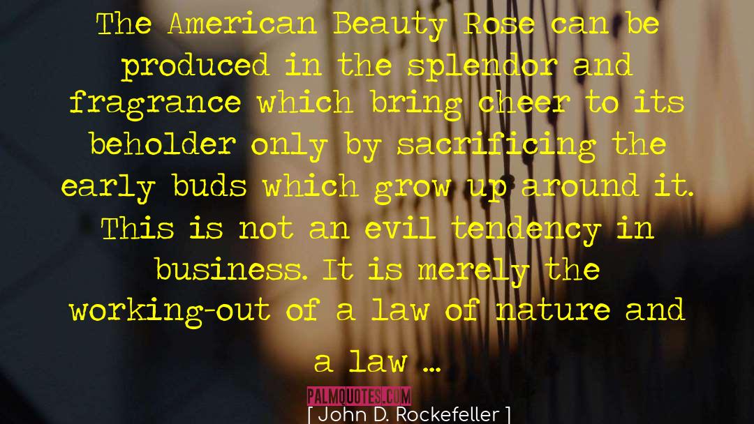 American Beauty quotes by John D. Rockefeller