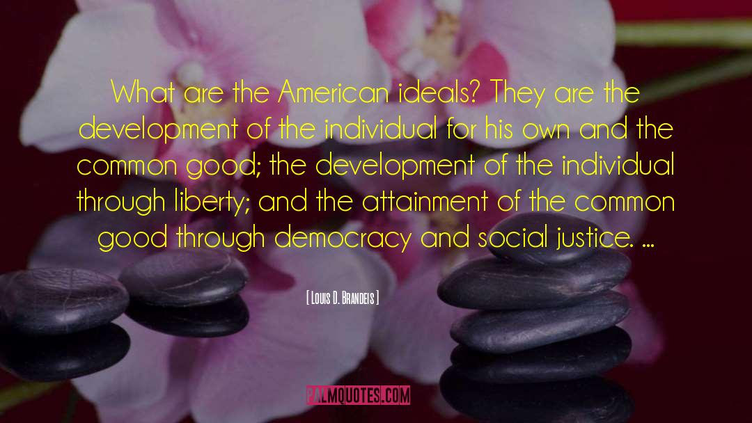 American Blindspot quotes by Louis D. Brandeis